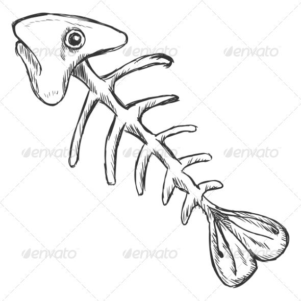 a drawing of a fish on a branch