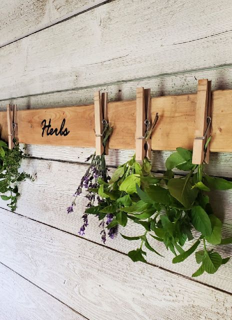 some plants are hanging on the wall and there is a sign that says herbs attached to it