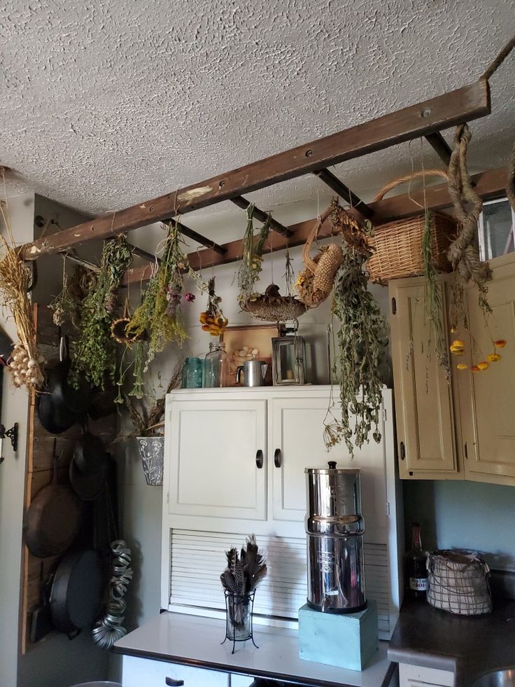 the kitchen is decorated with hanging plants and pots