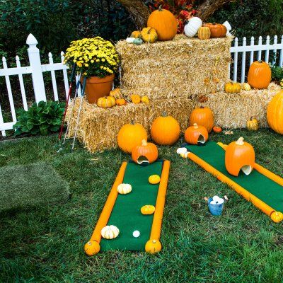 pumpkins and hay bales are arranged on the lawn