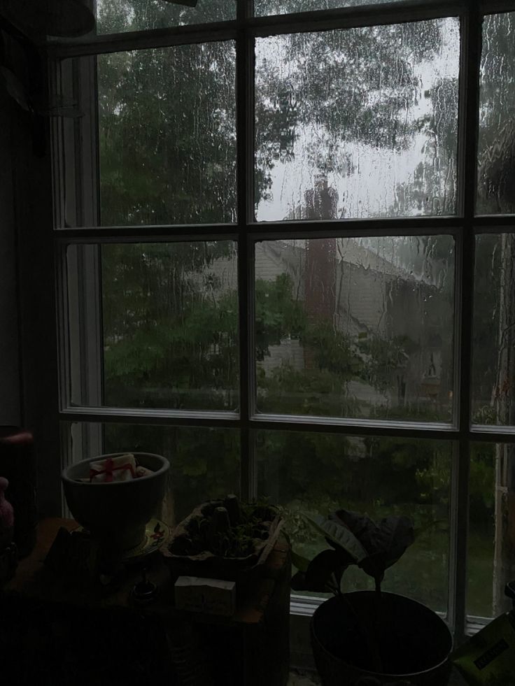 a window with rain coming down on it and some plants in the corner next to it