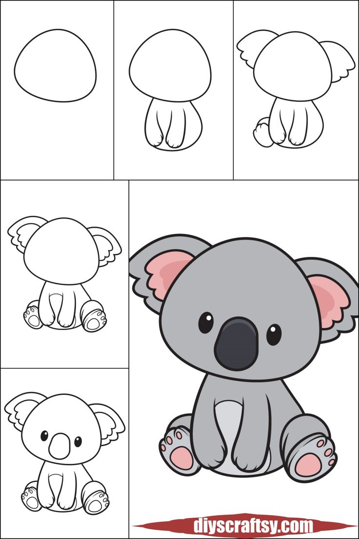 how to draw a cute koala bear with easy step by step instructions for kids