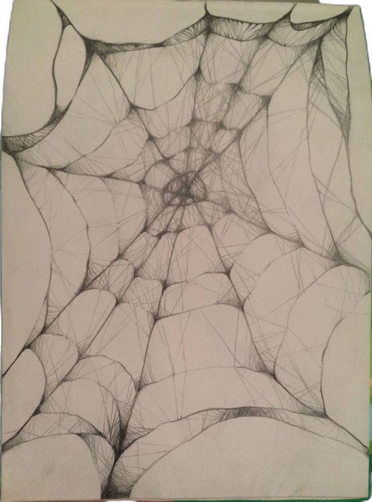 a drawing of a spider web on a piece of paper that has been drawn by someone