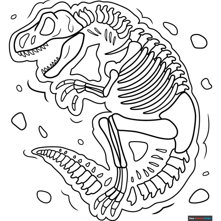 Fossil Coloring Page - Free & Printable Coloring Sheet Dinosaur Templates Free Printable, Dinosaur Template, Easy Drawing Guides, Free Printable Coloring Sheets, Drawing Guides, Dinosaur Skeleton, Dinosaur Coloring Pages, Kids Print, Dinosaur Coloring