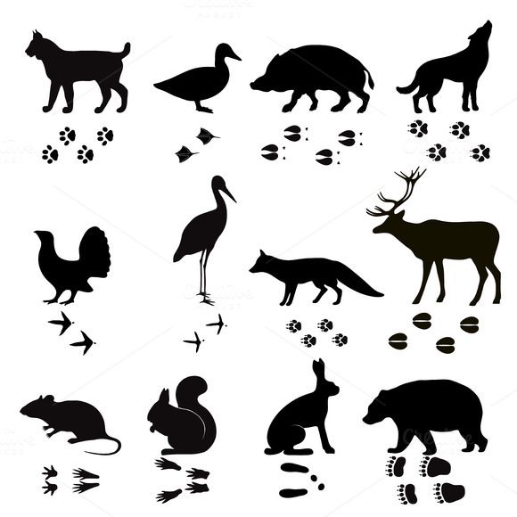 various silhouettes of animals and birds