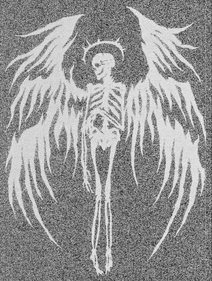 an image of a skeleton with wings on it