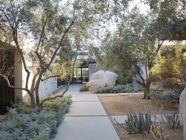 an outdoor walkway with trees and bushes