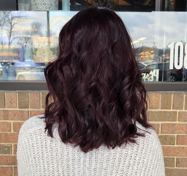 Black Cherry Hair Color Short, Dark Chocolate Brown Hair With Red Tint, Mohagany Brown Hair, Black Hair With Violet Undertone, Brown Hair Violet Undertone, Dark Purple Undertone Hair, Cherry Black Hair Color, Dark Cherry Coke Hair Color, Dark Brown Hair Violet Undertones