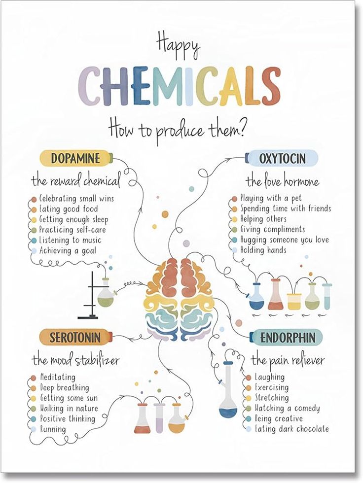 Amazon.com: ARBOMG Happy Chemicals Poster, Therapy Office Decor, Mental Health Poster Calming Corner, School Psychology Wall Art Poster, Therapy Office Decor, School Counselor, Calming Strategies, CBT,emotions poster Calm Down Corner Classroom Decorations For Preschool Teachers Teachers12x16 in UnFramed: Posters & Prints Calm Down Corner Classroom, Happy Chemicals, Office Decor School, Giving Compliments, Art Psychology, Emotions Posters, Mood Stabilizer, Mental Health Poster, Calming Corner