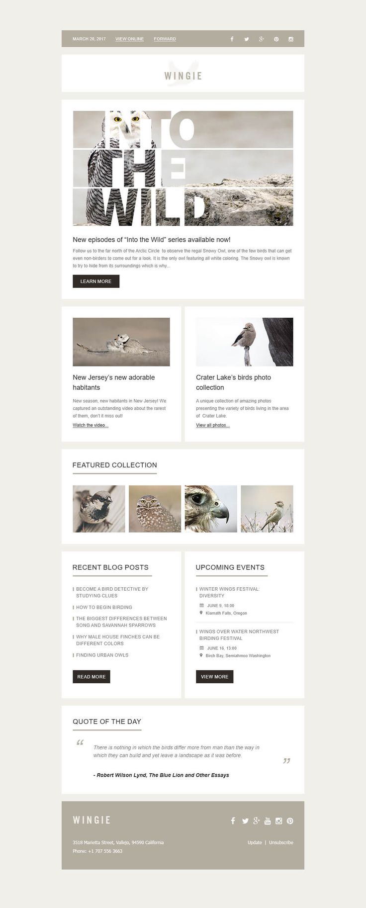 the wordpress theme is clean and modern