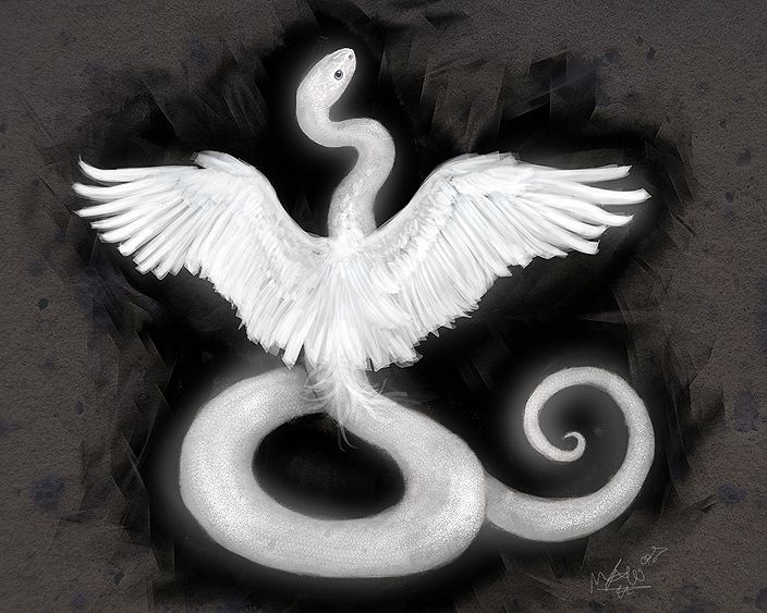 a white bird with its wings spread out in the shape of a snake on a black background