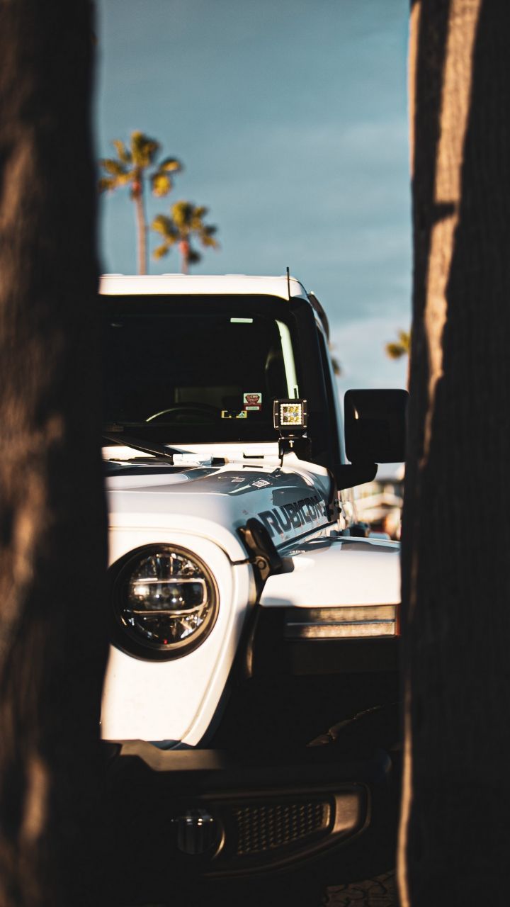 a white jeep parked next to a palm tree