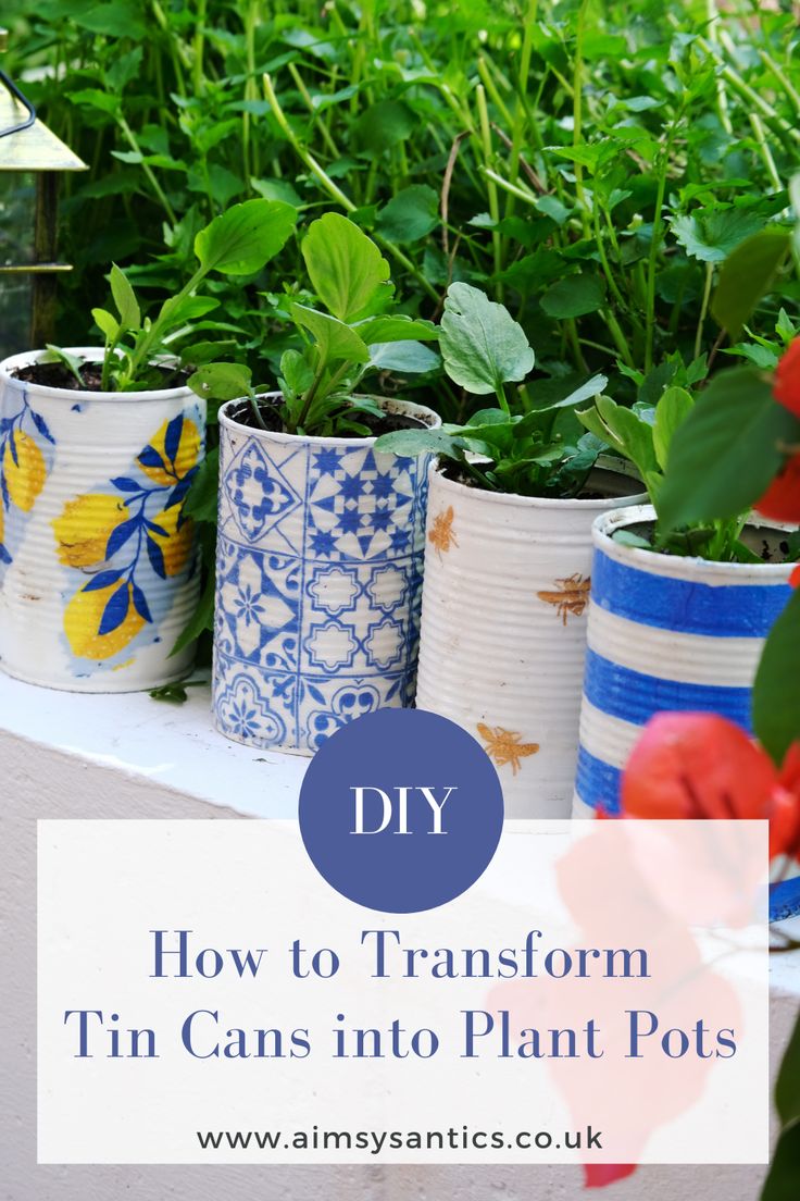 several pots with plants in them and the words diy how to transform tin cans into plant pots