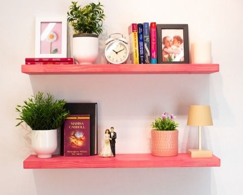 two wooden shelves with books and plants on them