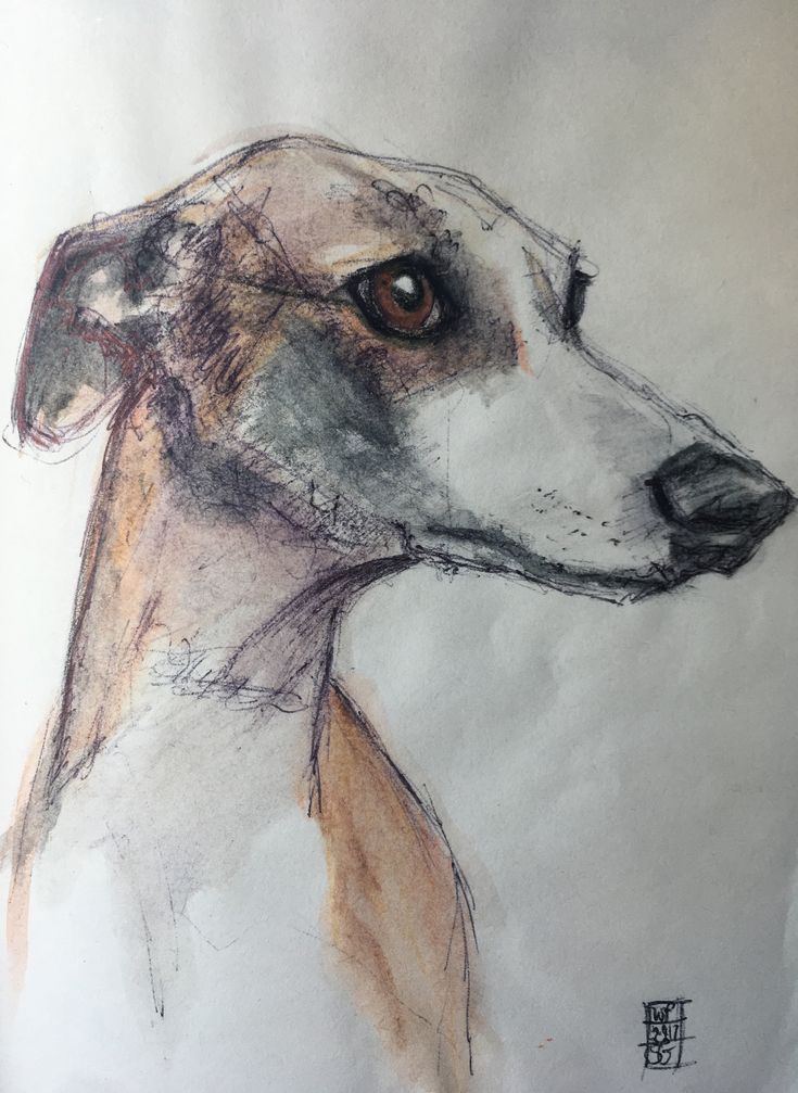 a drawing of a dog with brown eyes