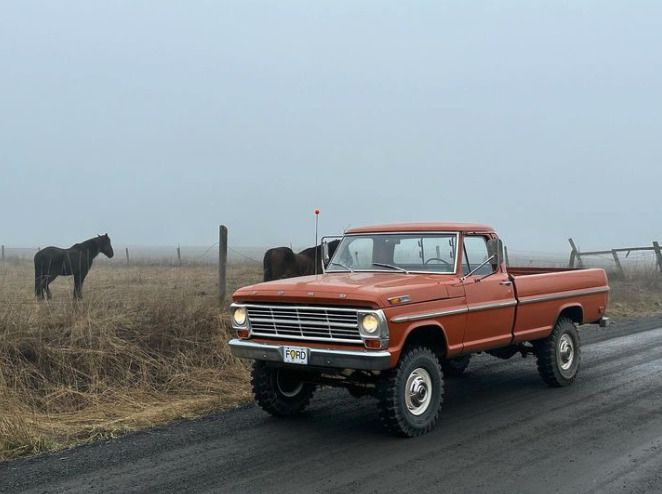 an orange truck driving down a rural road next to a horse grazing in the field