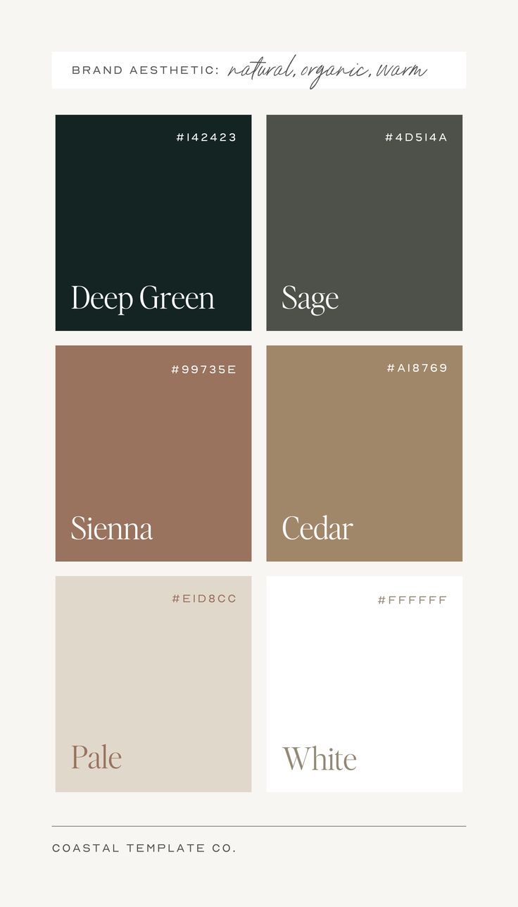 Color palette ideas for your next brand design, web design, or creative project by Coastal Template Co. Showit templates, Flodesk templates, Canva templates, and stock photography for small businesses. Black White And Natural Wood Color Palette, Timeless Color Schemes, Color Palette For Black Background, Chaotic Academia Color Palette, Moody Colors Palette, Neutral Moody Color Palette, Neutral Minimalist Color Palette, Black And Gold Color Pallet, Dark Green Hex Code