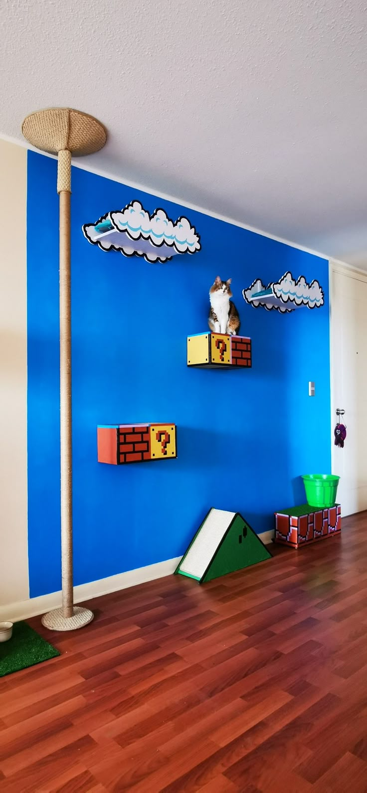 a room with blue walls, wooden floors and shelves on the wall that have mario's house painted on them