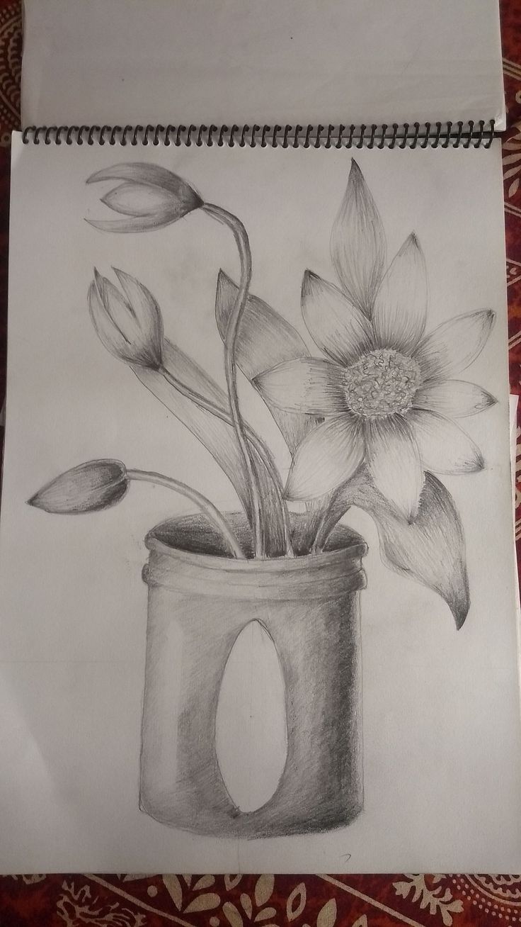 a pencil drawing of flowers in a vase