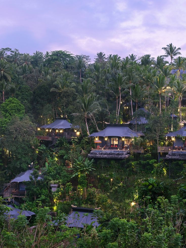 the resort is surrounded by lush green trees and lit up lights at night in the jungle