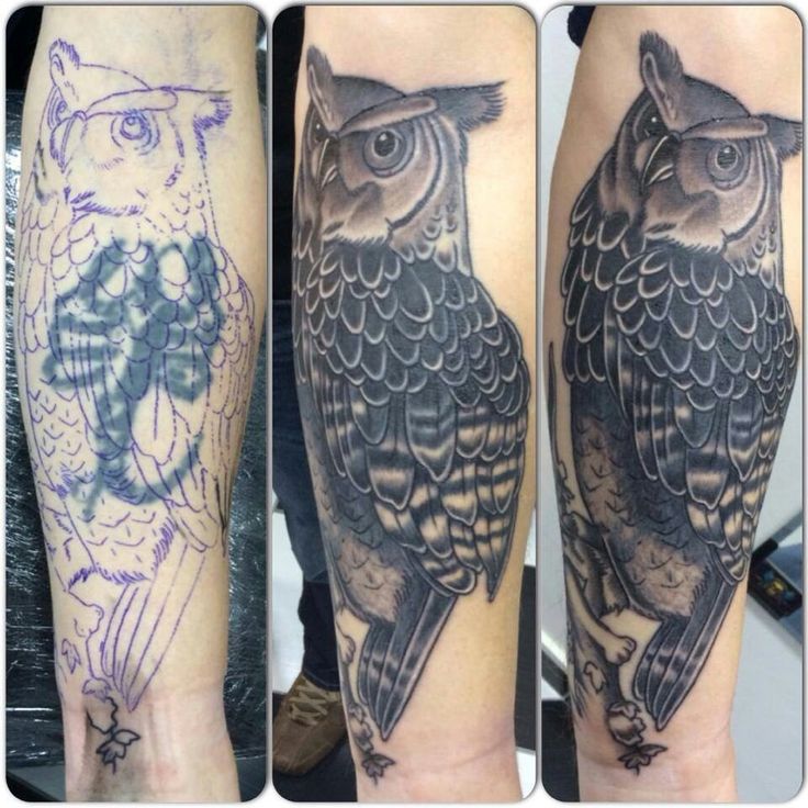 three different pictures of an owl on someone's leg, one showing the same tattoo