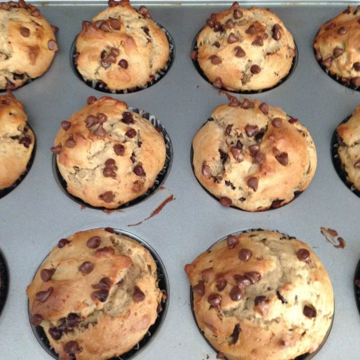 chocolate chip muffins in a baking pan ready to be eaten