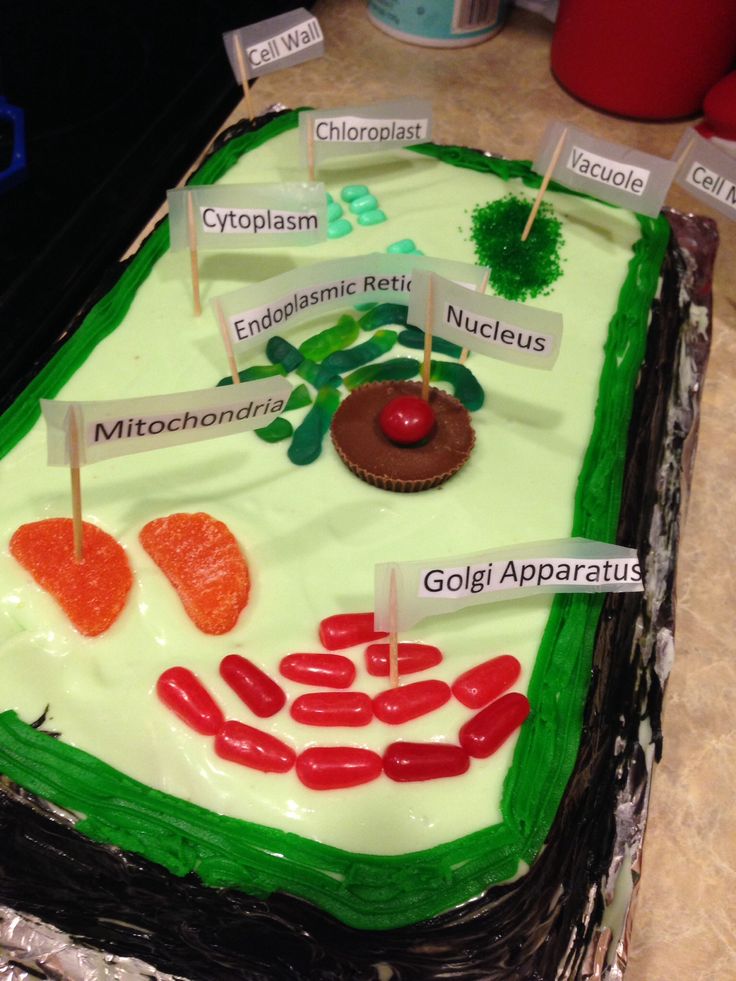 a cake that is decorated with different foods