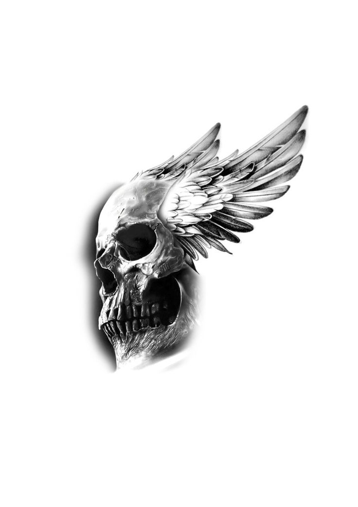 a black and white photo of a skull with wings