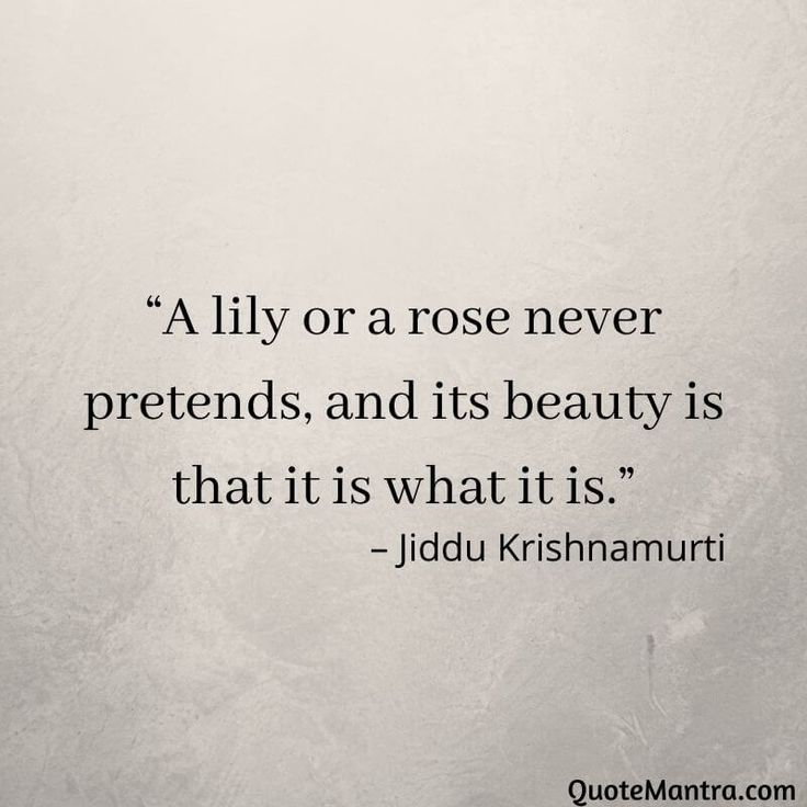 a quote on the wall that says, lily or a rose never pretends, and its beauty is that it is what it is