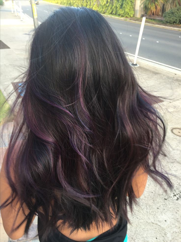 Dark Hair W Purple Highlights, Purple Underside Hair, Brown Hair With Purple Highlights Subtle, Brunette With Fun Color Highlights, Purple Blended Hair, Purple Brown Hair Highlights, Black Hair Plum Highlights, Purple Hair Ideas Highlights, Brown Hair With Hair Dye