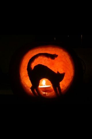 a carved pumpkin with a cat on it