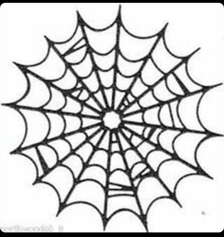 a spider web is shown in black and white