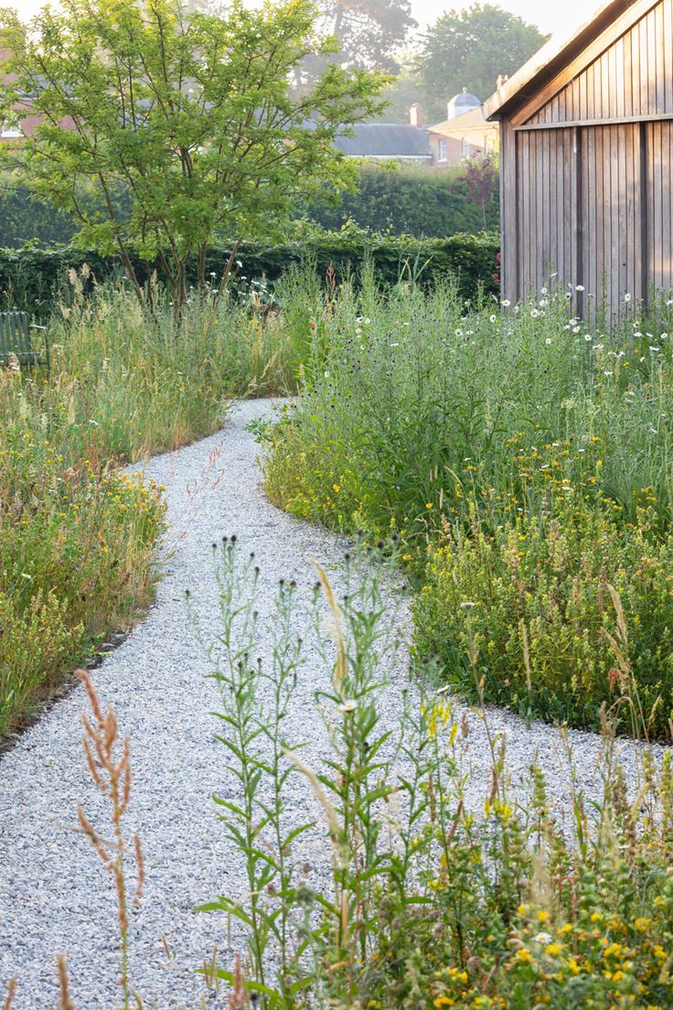 a garden with gravel and plants in the foreground, next to a barn building