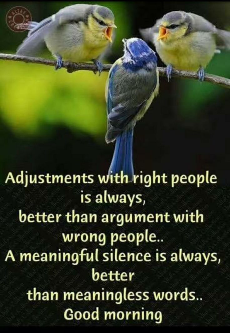 two birds sitting on top of a tree branch with the caption, adjustments with right people is always better than argument with wrong people