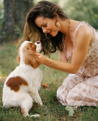 a woman kneeling down petting a brown and white dog on top of a grass covered field