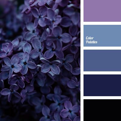 purple and black color palettes with blue flowers in the center, on top of each other