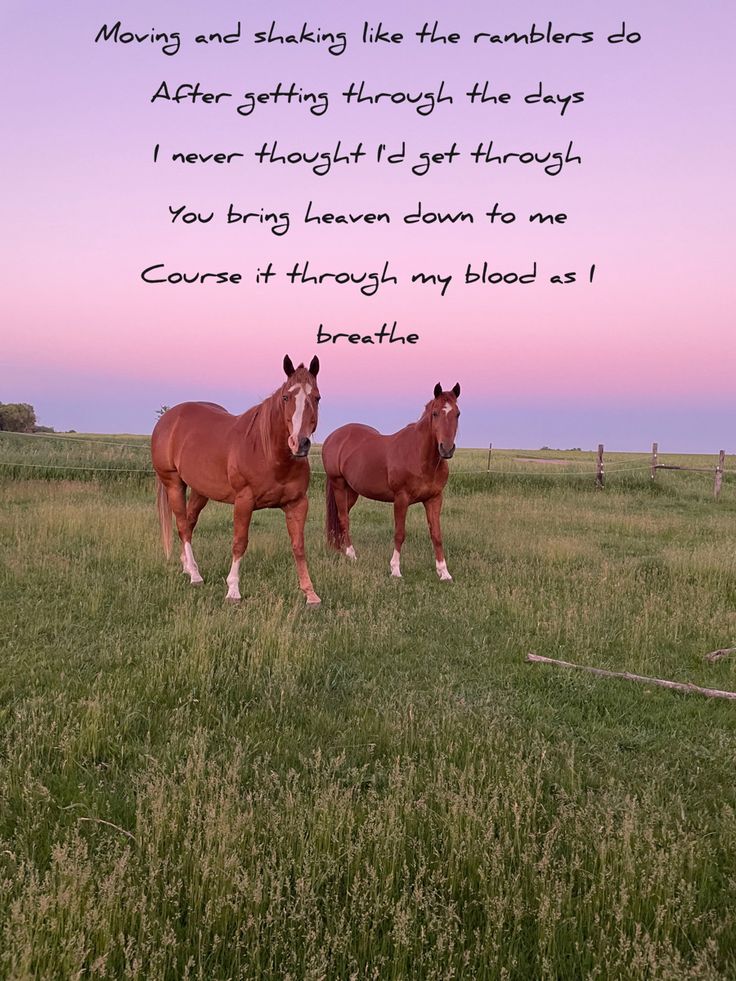 two horses standing next to each other in a field with the words moving and shaking like numbers do after getting through the days