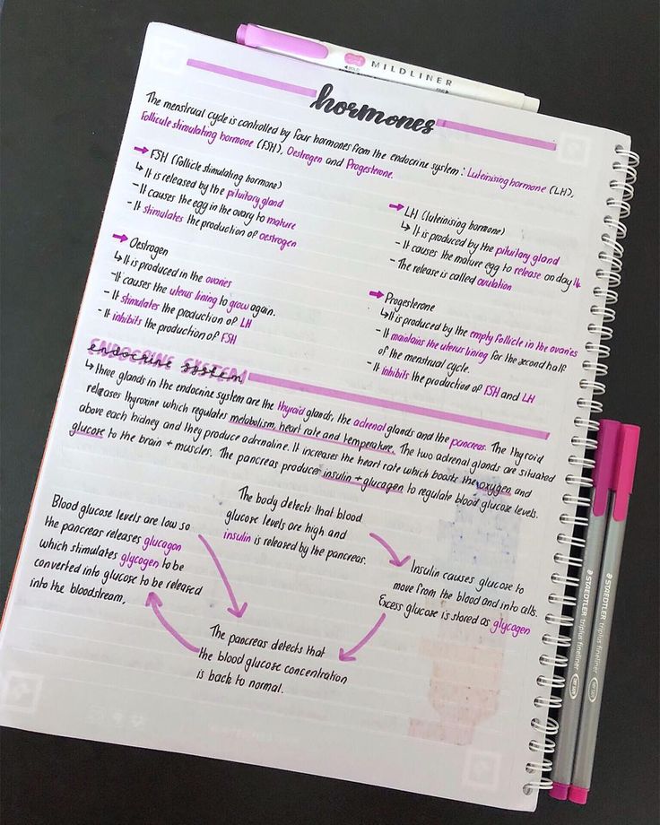 an open notebook with some writing on it