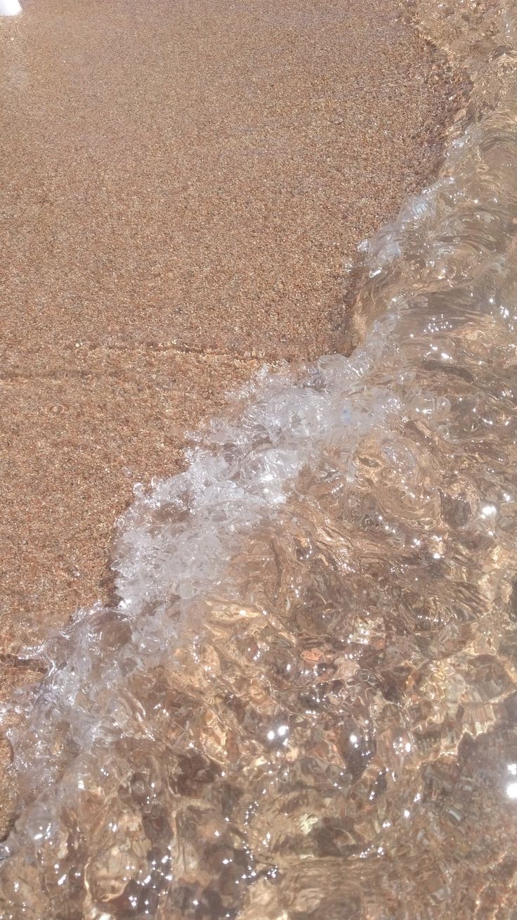 a bird is standing in the water at the beach