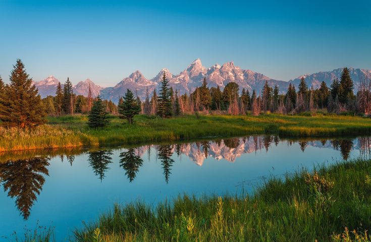 a mountain range is reflected in the still water of a lake surrounded by tall grass and trees