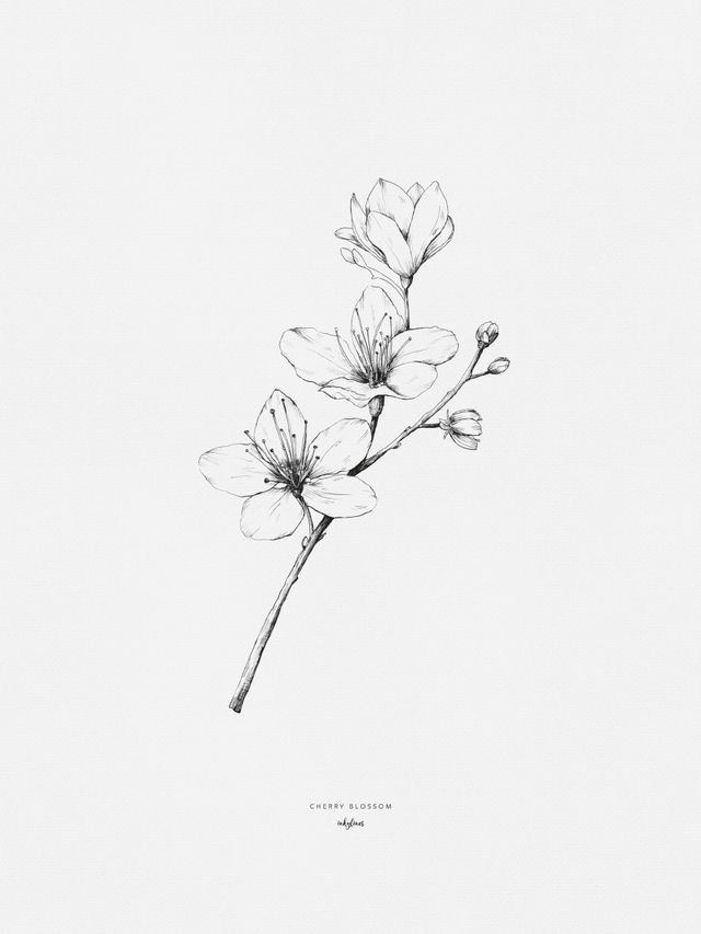 a black and white drawing of flowers