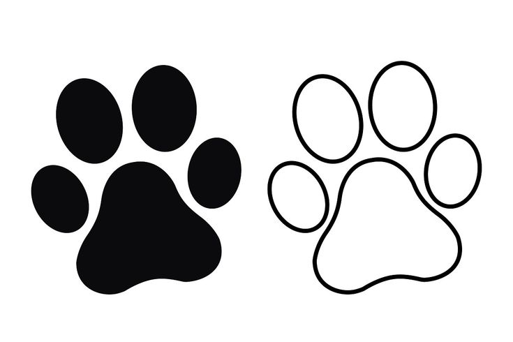 an animal's paw is shown in black and white, with the word dog on it