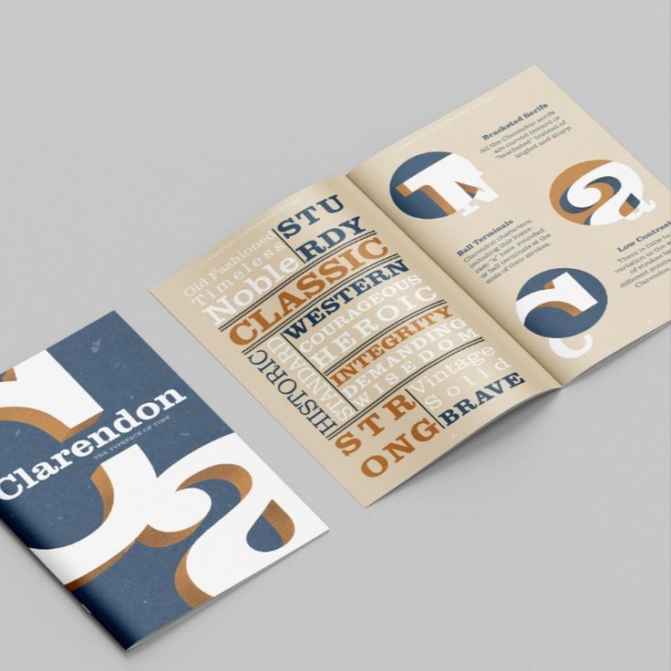 an open brochure is shown on a gray surface with blue and brown designs