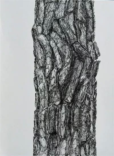 a black and white drawing of a tree trunk