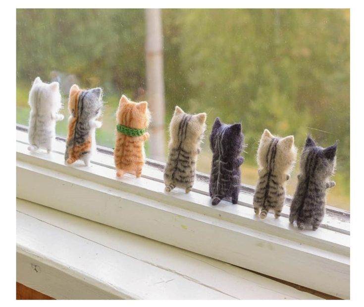 five kittens lined up on a window sill looking out at the rain outside