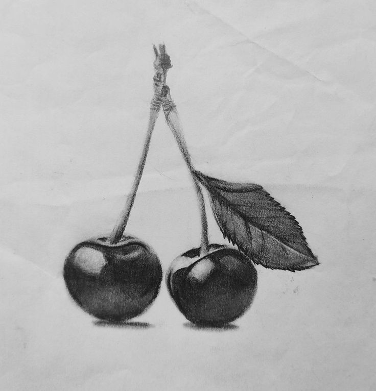 pencil drawing of two cherries with leaves