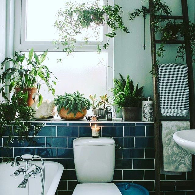 bathroom remodel with green plants in the window and white bathtub next to it