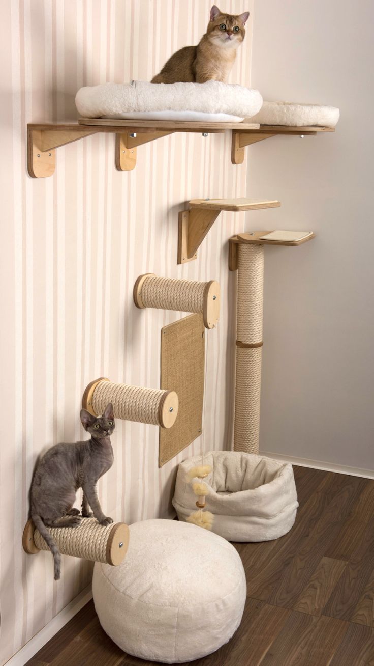 a cat sitting on top of a scratching post next to a white ball and two cats