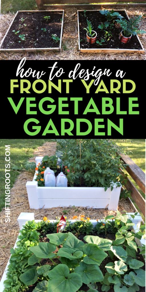 the garden is full of vegetables and plants to grow in, with text overlay that reads how to design a front yard vegetable garden