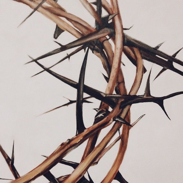 a black and white photo of a bunch of thorns on a wall with the sky in the background